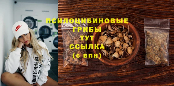 прущая мука Инта