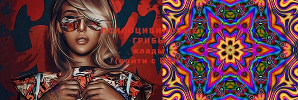 spice Балабаново