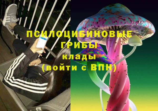 мет Балахна