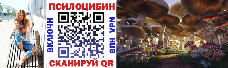 OMG ТОР  даркнет сайт  Унеча  Галлюциногенные грибы Psilocybine cubensis 