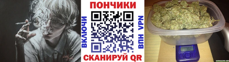 Канабис сатива ссылка на мегу онион Унеча